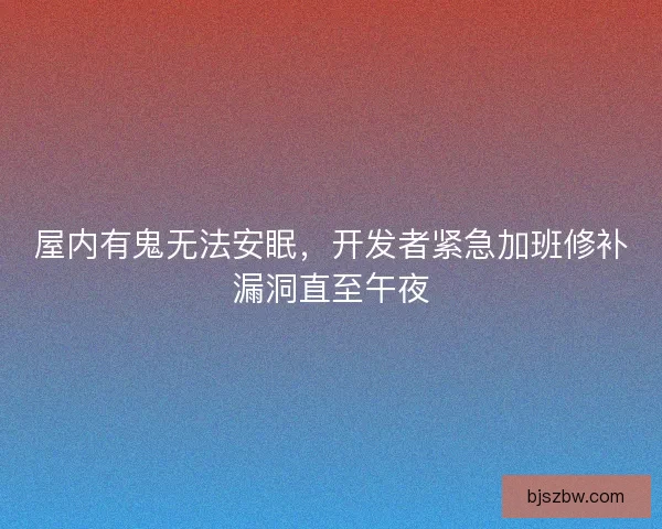 屋内有鬼无法安眠，开发者紧急加班修补漏洞直至午夜