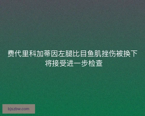 费代里科加蒂因左腿比目鱼肌挫伤被换下 将接受进一步检查