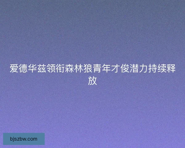爱德华兹领衔森林狼青年才俊潜力持续释放