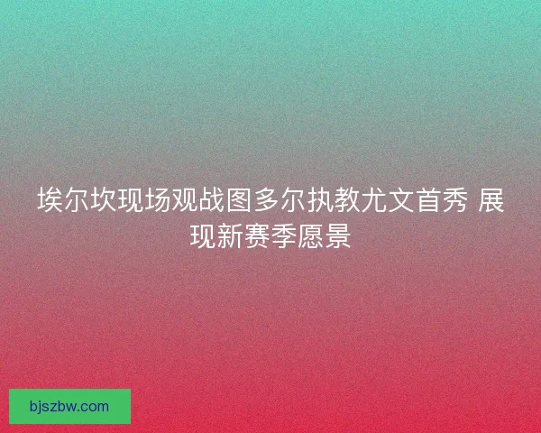 埃尔坎现场观战图多尔执教尤文首秀 展现新赛季愿景