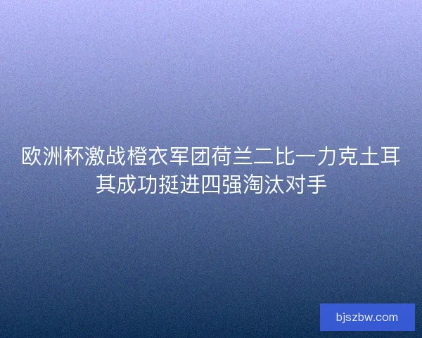 欧洲杯激战橙衣军团荷兰二比一力克土耳其成功挺进四强淘汰对手